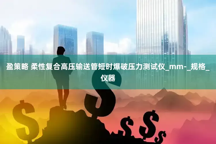 盈策略 柔性复合高压输送管短时爆破压力测试仪_mm-_规格_仪器