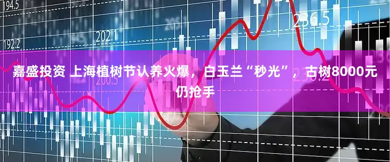 嘉盛投资 上海植树节认养火爆，白玉兰“秒光”，古树8000元仍抢手